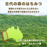 ama-1000x2