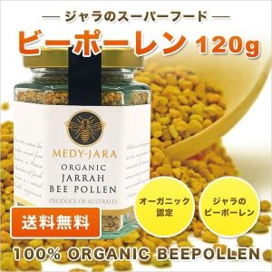 bee-120