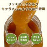 rewa-500x2