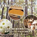 beepollen120-wake