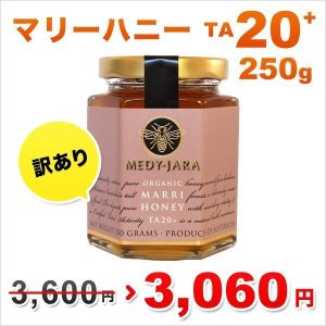 mh20-250-wake