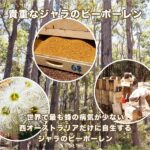 bee-120p