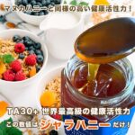 taste3-01